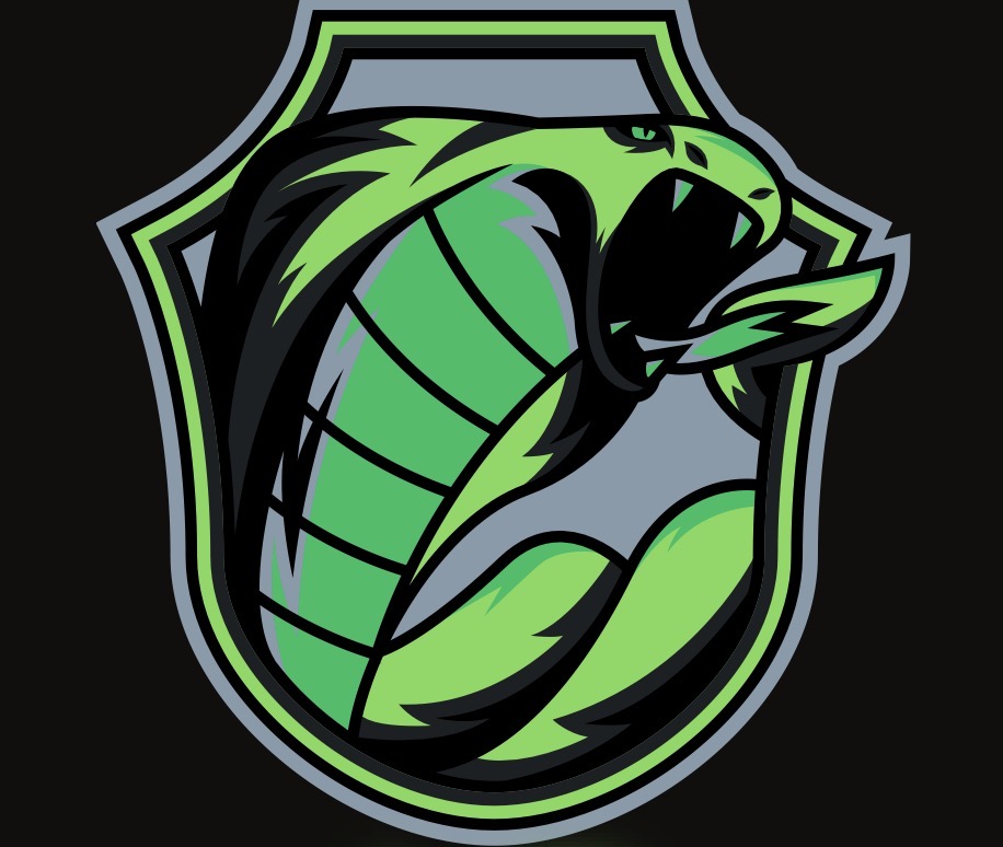 Buffalo Vipers's Logo